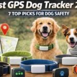 Best GPS Dog Tracker 2026: 7 Top Picks for Dog Safety