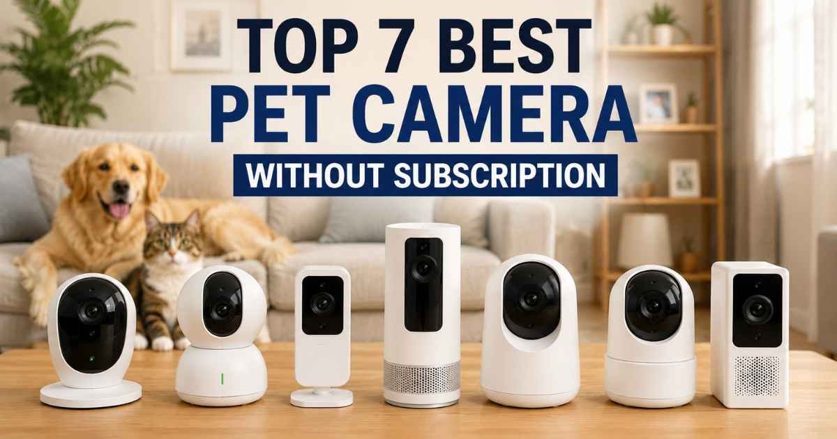 best pet camera without subscription